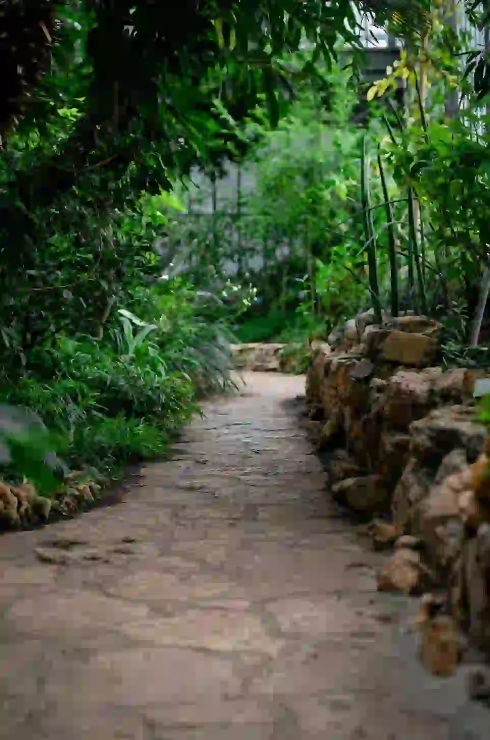 mantenimiento integral servicios max mantenimiento de jardines y cesped en servicios max